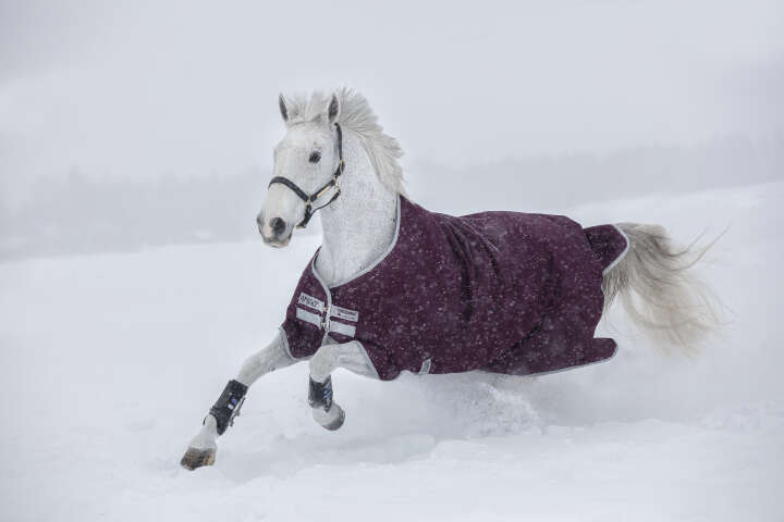 Horseware AMIGO Outdoordecke Hero 200g Ripstop